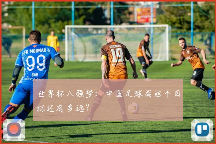 世界杯八强梦：中国足球离这个目标还有多远？